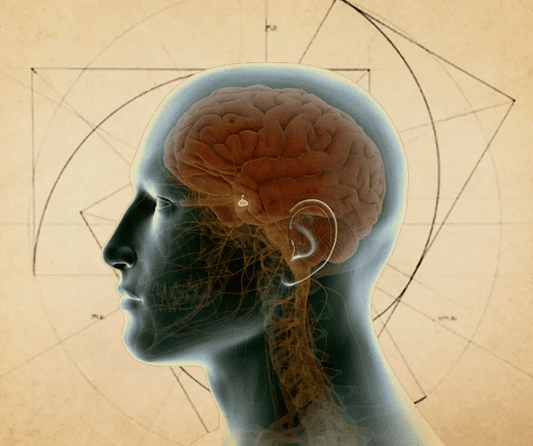 How to Activate the Pineal Gland