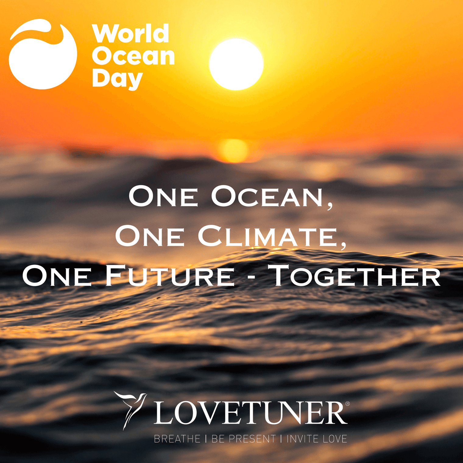 Celebrating World Ocean Day with Lovetuner