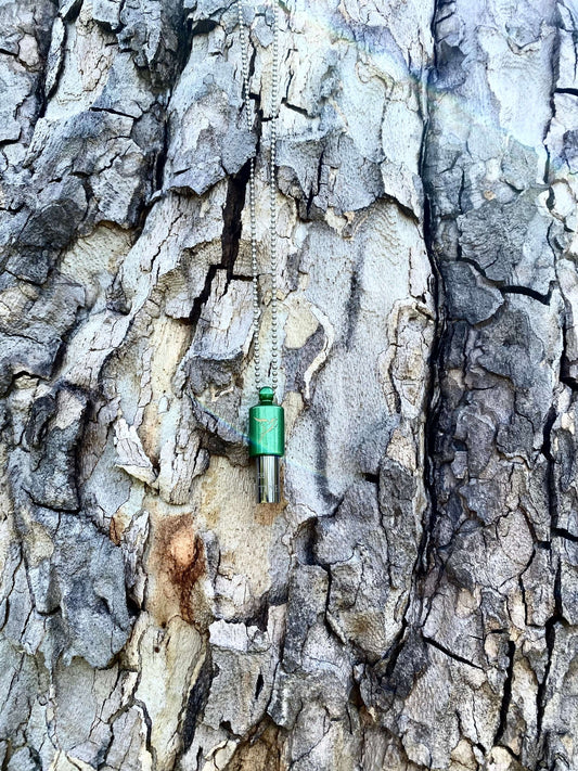 International Day of Forests. The Benefits of Tree Hugging with the Lovetuner